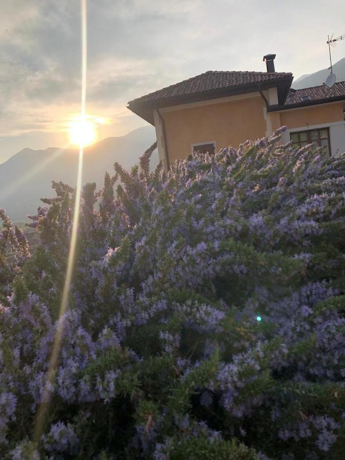 La Villa Degli Orti Borgo Valsugana Exterior photo